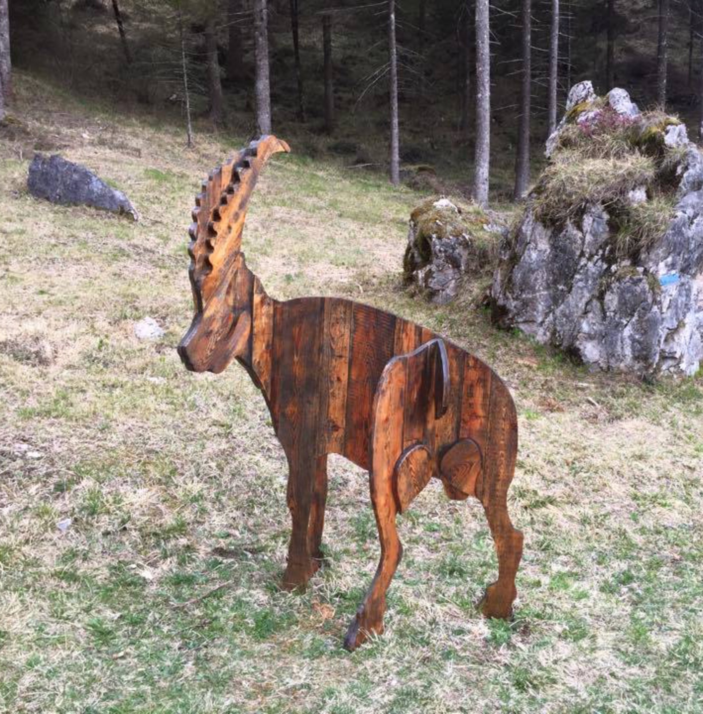 I Suoni del Bosco